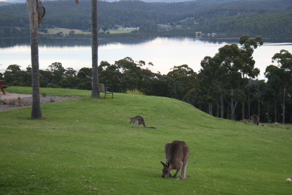 Norfolk Pines Motel Merimbula Zewnętrze zdjęcie