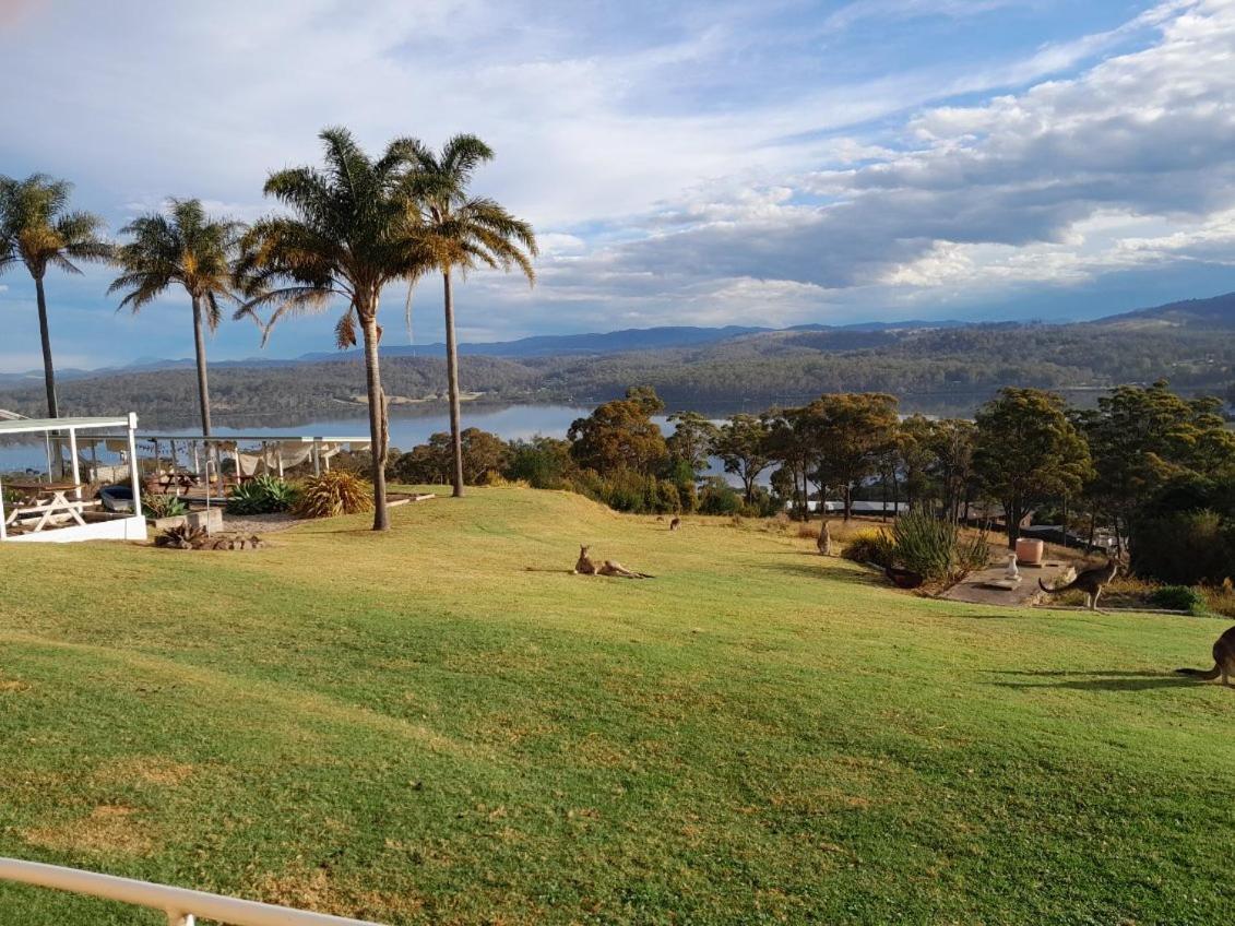 Norfolk Pines Motel Merimbula Zewnętrze zdjęcie