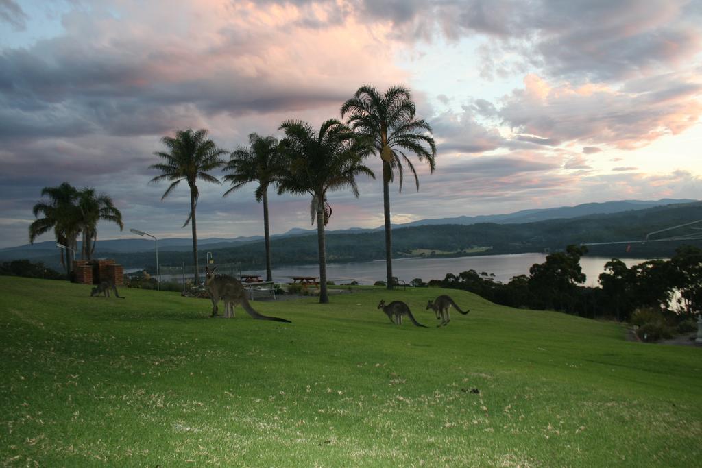 Norfolk Pines Motel Merimbula Zewnętrze zdjęcie