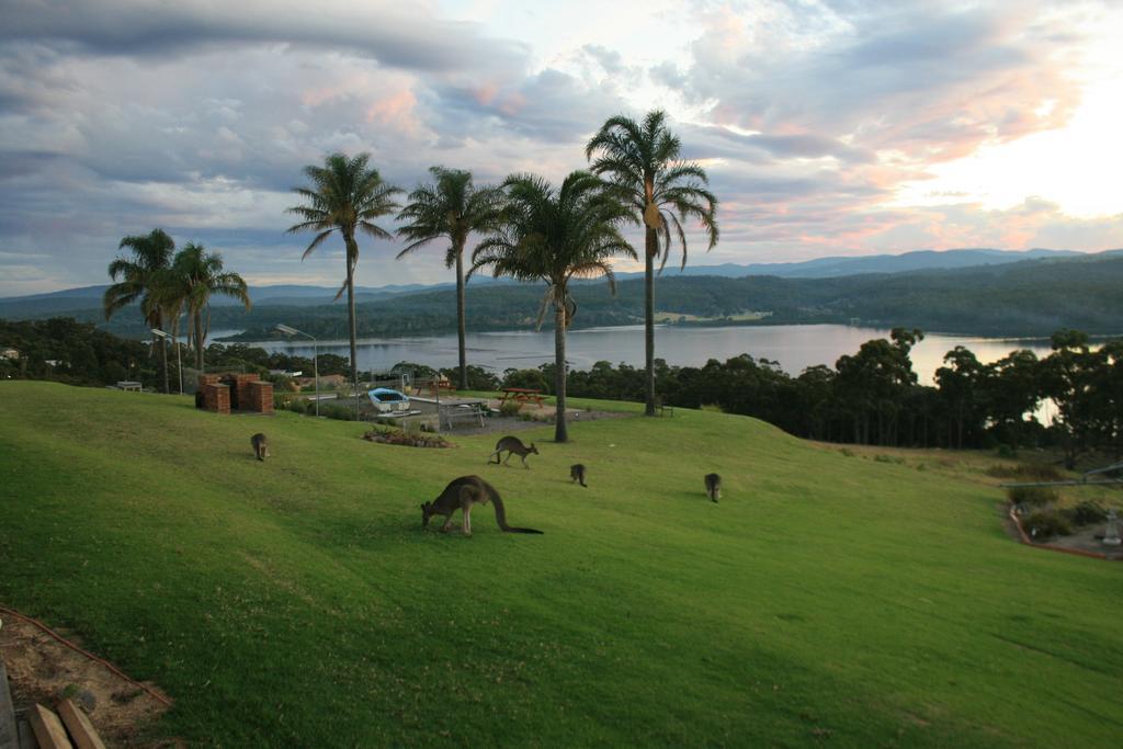 Norfolk Pines Motel Merimbula Zewnętrze zdjęcie