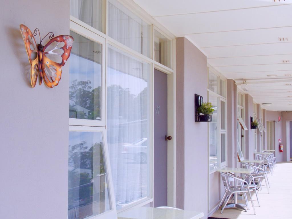 Norfolk Pines Motel Merimbula Zewnętrze zdjęcie